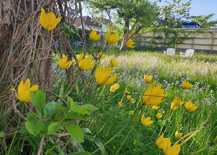 Sentralt Og Koselig Apartamento *